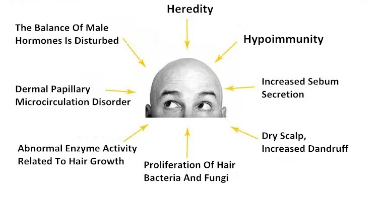 Minoxidil powder Minoxidil powder